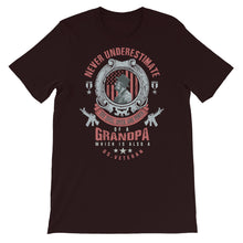 Load image into Gallery viewer, USA Veteran Series P4 Unisex T-Shirt - Siddh Studio