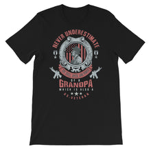 Load image into Gallery viewer, USA Veteran Series P4 Unisex T-Shirt - Siddh Studio